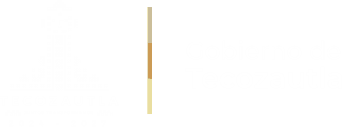 Gobierno Municipal de Tecozautla